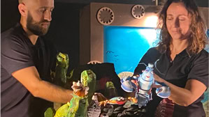 Centro de Educação Ambiental de Esposende